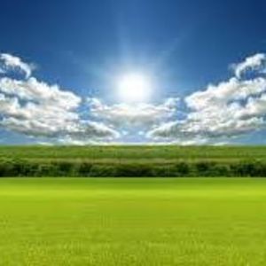 Meet your Posher, Sal